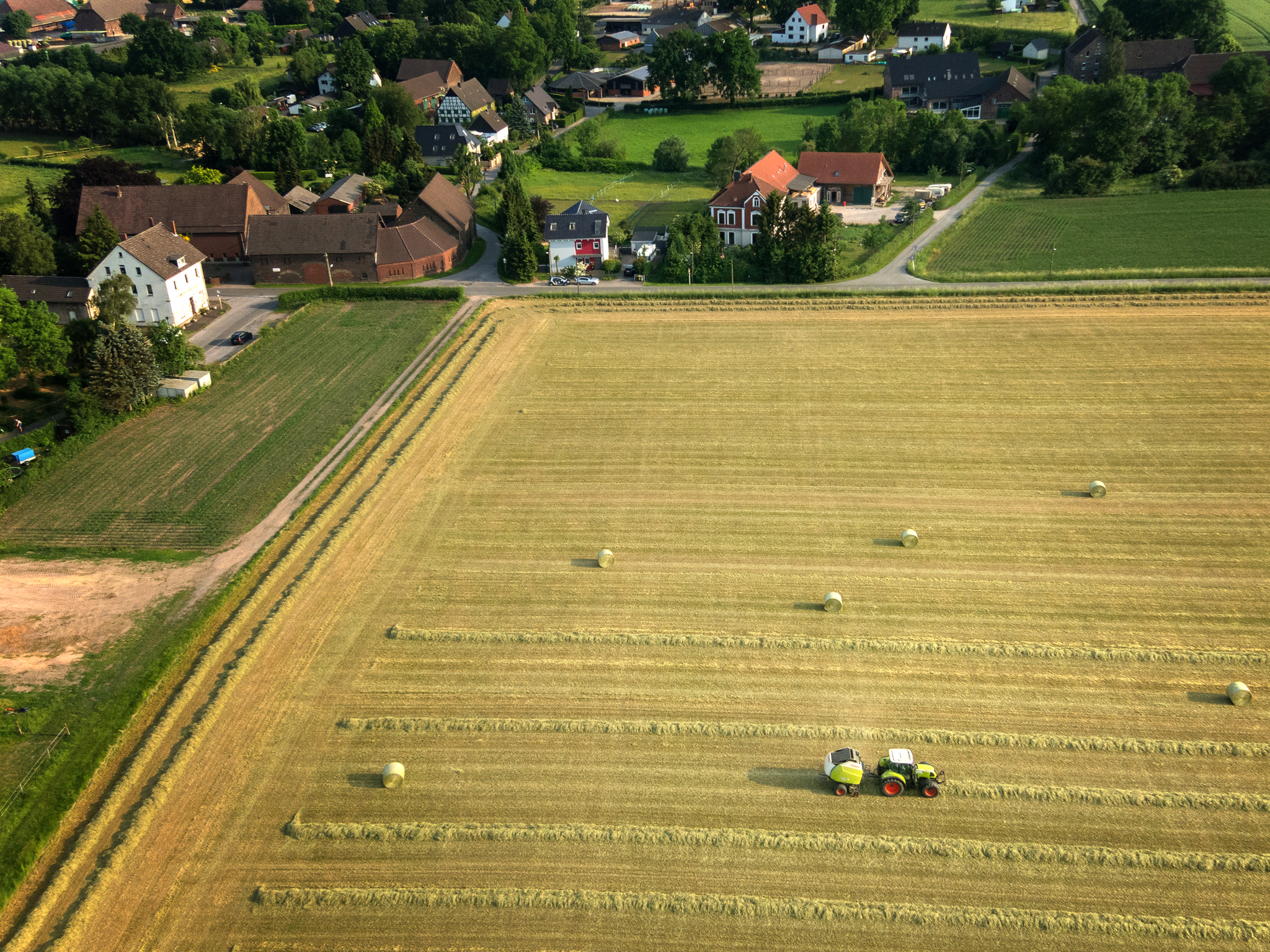 Heuernte in Holthausen by Peter Laudanski